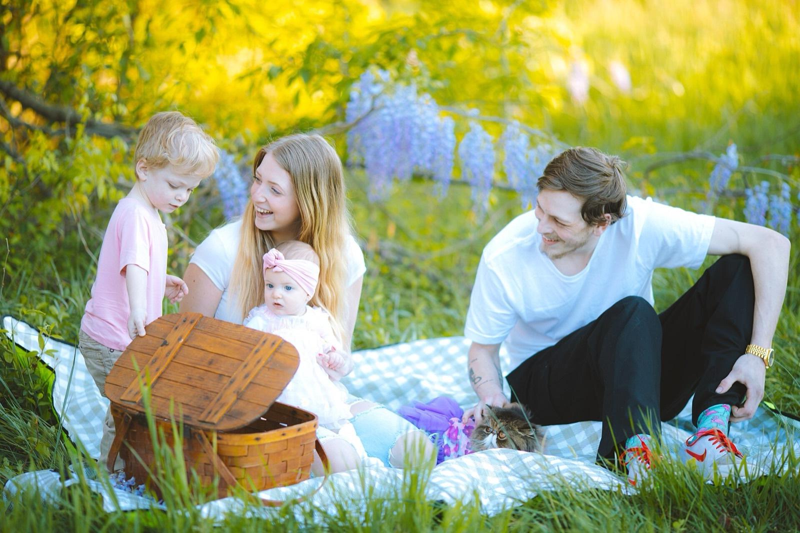 A family at a picnic on the grass